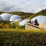 Cornwall: Eden Project Entry Ticket - A Deep Dive into the Eden Project Experience