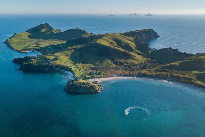 Coromandel Adventure and Wildlife Boat Tour to Aldermen Islands - What Travelers Are Saying