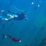 Coromandel: Aldermen Islands Marine Reserve Wildlife Cruise - FAQ