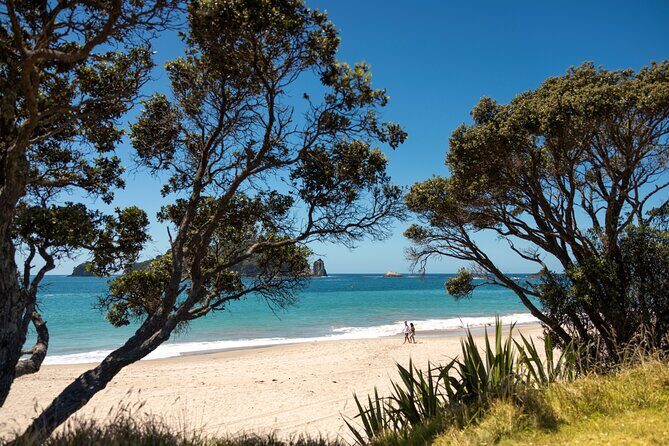 Coromandel Cathedral Cove Walk & Hot Water Beach Day Tour - Final Thoughts: Is This Tour for You?