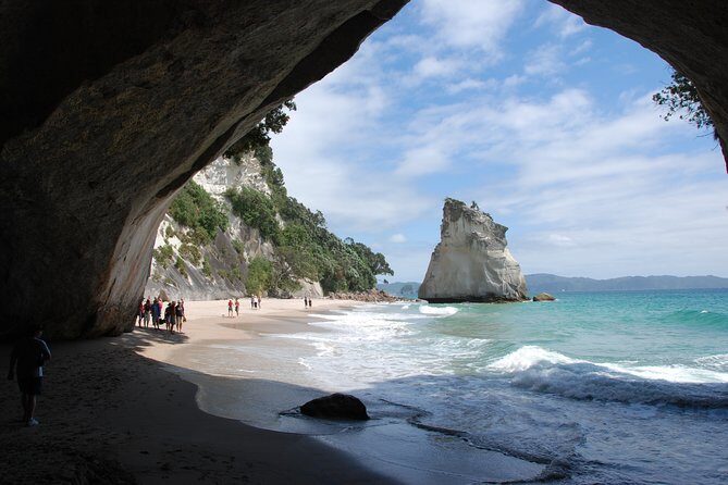 Coromandel Coastal Experience - Small Group Tour from Auckland - A Deep Dive into the Coromandel Coastal Experience