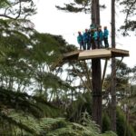 Coromandel: Guided Zipline Tour Experience - A Detailed Look at the Coromandel Zipline Tour