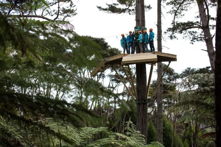 Coromandel: Guided Zipline Tour Experience - A Detailed Look at the Coromandel Zipline Tour