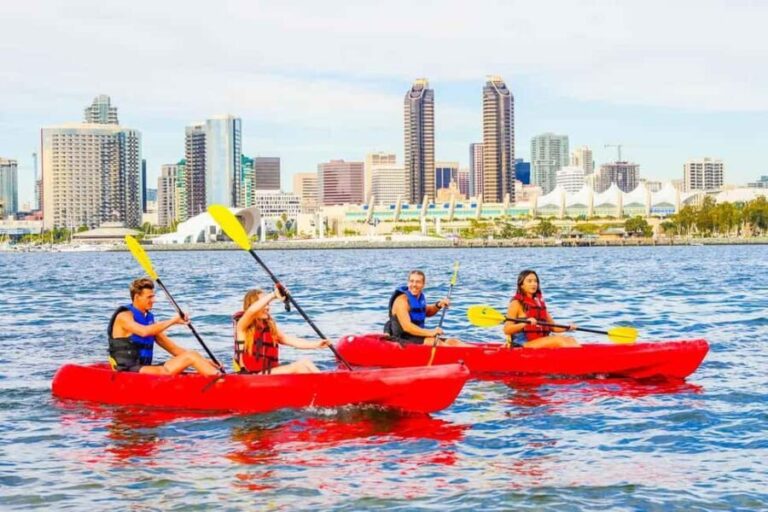 Coronado Guided Kayak Tour 90-Min - What to Expect During the 90 Minutes