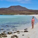 Coronado Island and Snorkel Tour - Snorkeling: Encountering Sea Turtles, Rays & Fish