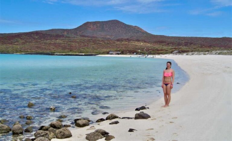 Coronado Island and Snorkel Tour - Snorkeling: Encountering Sea Turtles, Rays & Fish