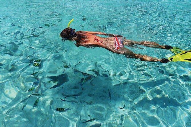 Coronado Island Tour from Loreto - The Sum Up