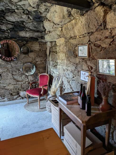 Corsica: Organic wine tasting - A Closer Look at the Experience