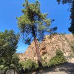 Corsica: Piana Day Trip by Minibus from Bastia - Frequently Asked Questions