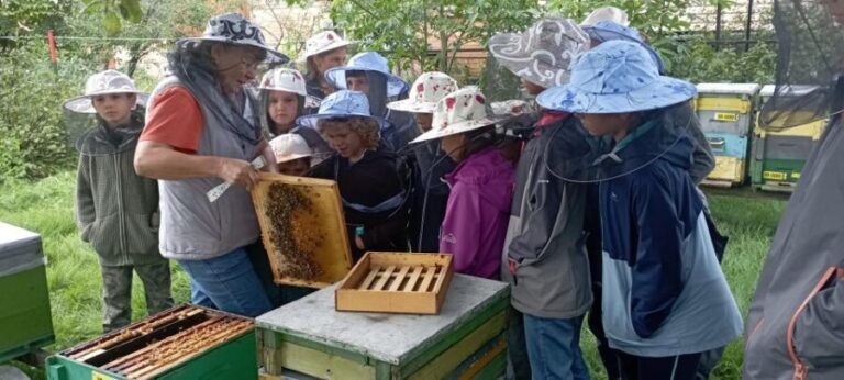 Corund, HR: Visit to bee-keeper, tasting & hive-opening - An In-Depth Look at the Corund Bee Experience