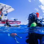 Costa Maya: Discover Scuba Diving Reef Experience - A Detailed Look at the Costa Maya Discover Scuba Diving Experience