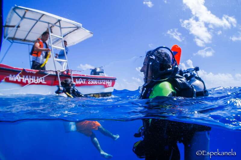Costa Maya: Discover Scuba Diving Reef Experience - A Detailed Look at the Costa Maya Discover Scuba Diving Experience
