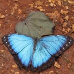 Costa Maya Shore Excursion: Chacchoben Day Trip - The Sum Up: Is the Chacchoben Day Trip Worth It?