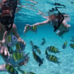 Costa Maya Snorkel Tour - Who Will Love This Tour?