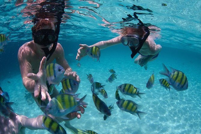 Costa Maya Snorkel Tour - Who Will Love This Tour?