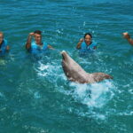 Costa Mujeres: Swim with Dolphins - Who Should Consider This Tour?
