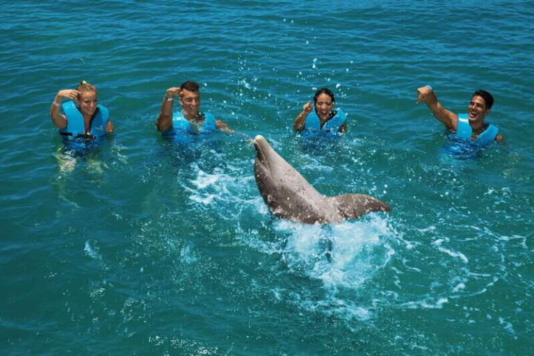 Costa Mujeres: Swim with Dolphins - Who Should Consider This Tour?