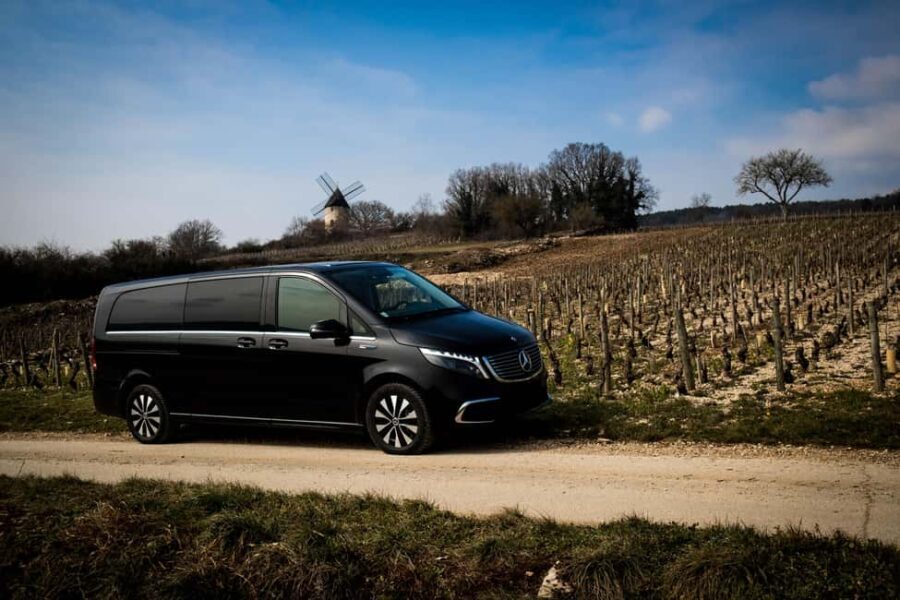 Côte de Beaune and Côte de Nuits : Private Full day Winetour - Authentic Burgundy Experience