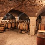 Côte de Beaune Private Local Wineries and Wine Tasting Tour - Discovering the Charm of Côte de Beaune
