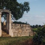 Côte de Nuits: Excursion in the heart of the vineyards - Final Thoughts