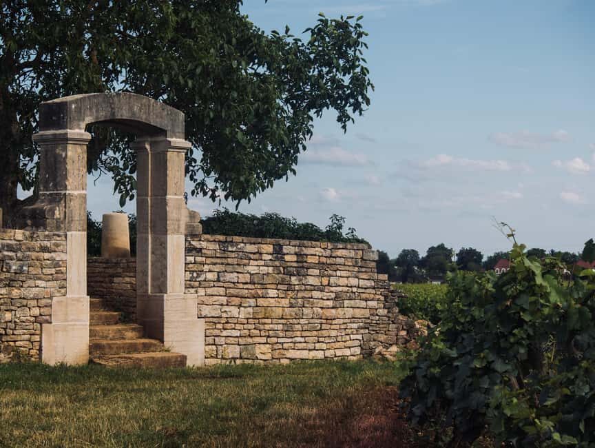 Côte de Nuits: Excursion in the heart of the vineyards - Final Thoughts