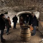 Côte de Nuits Private Local Wineries and Wine Tasting Tour - An Authentic Day in Burgundy: The Côte de Nuits Experience