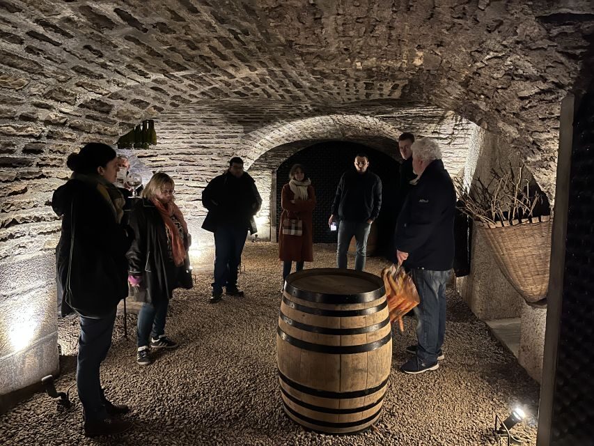 Côte de Nuits Private Local Wineries and Wine Tasting Tour - An Authentic Day in Burgundy: The Côte de Nuits Experience