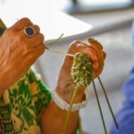 Cotignac: Workshop to discover wild basketry - Final Thoughts