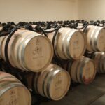 Country side Dubrovnik gastro and wine tour - Who Is This Tour Best For?