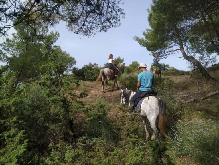 Countryside Horseback Ride in Gjinofshat - Exploring the Gjinofshat Horseback Ride: What to Expect