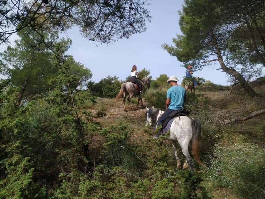 Countryside Horseback Ride in Gjinofshat - Exploring the Gjinofshat Horseback Ride: What to Expect