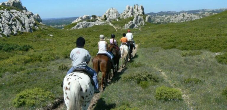 Countryside Immersion with Horseback Ride in Sainte Victoire - Who Is This Tour For?