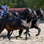 Countryside ranch, horse show & lunch - A Deeper Dive into the Ranch Experience