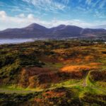 County Down: Private Tour with Scrabo Tower and Castle Ward - Practical Details and Value
