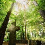 Courtown Woodland Guided Tour - The Sum Up: Who Will Love This Tour?
