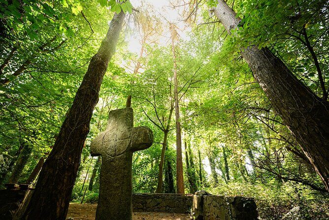 Courtown Woodland Guided Tour - The Sum Up: Who Will Love This Tour?