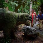 Cow Bay: Daintree Discovery Centre Entry Ticket - The Value of Your Ticket
