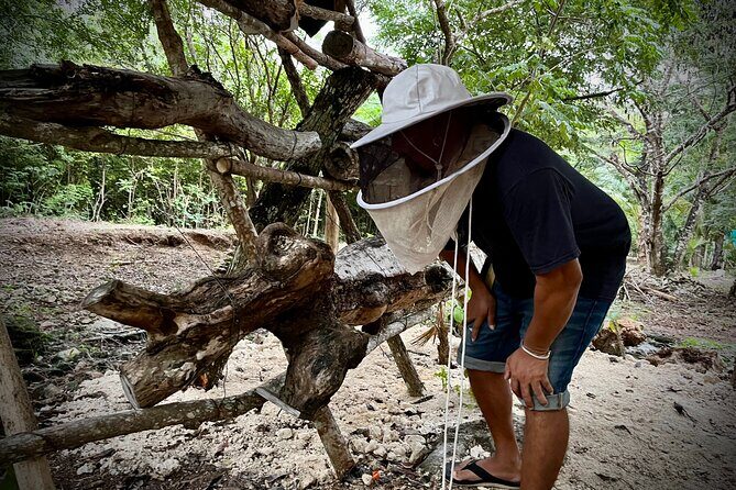 Cozumel: Bee Farm + Honey & Chocolate Tasting + Sightseeing - The Sum Up