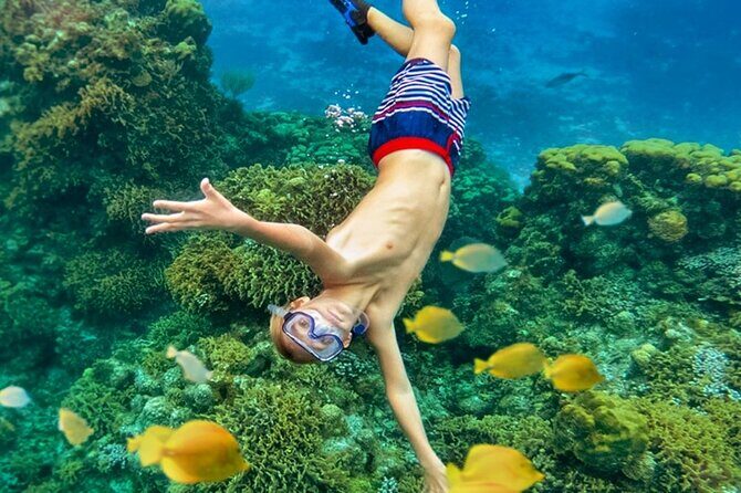 Cozumel Catamaran Experience with Snorkeling & Beach Club - An In-Depth Look at the Cozumel Catamaran Tour
