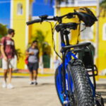 Cozumel City Tour with Lunch - What Travelers Say: Authenticity and Knowledge