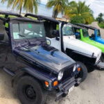 Cozumel: Classic Jeep or Buggy Island Tour to Punta Sur - Why This Tour Offers Great Value