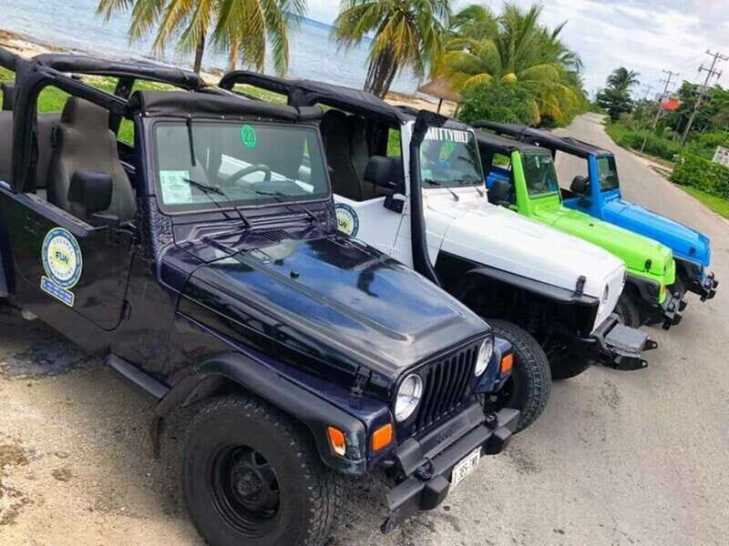 Cozumel: Classic Jeep or Buggy Island Tour to Punta Sur - Why This Tour Offers Great Value