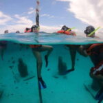 Cozumel: Clear Boat & Snorkel Tour - Key Points