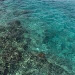 Cozumel: Day at El Cielo Bay - The Itinerary in Detail