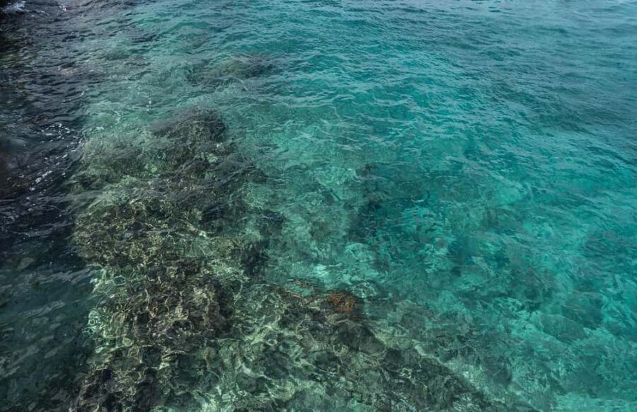 Cozumel: Day at El Cielo Bay - The Itinerary in Detail