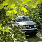 Cozumel: Discover Hidden Gems w/ Private guide - Who Will Love This Tour?