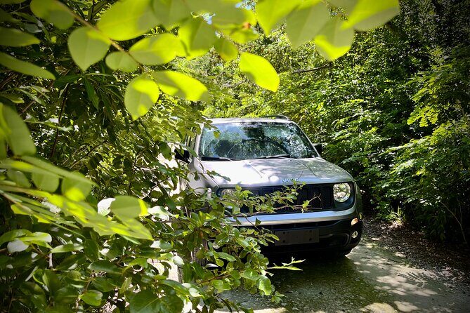 Cozumel: Discover Hidden Gems w/ Private guide - Who Will Love This Tour?