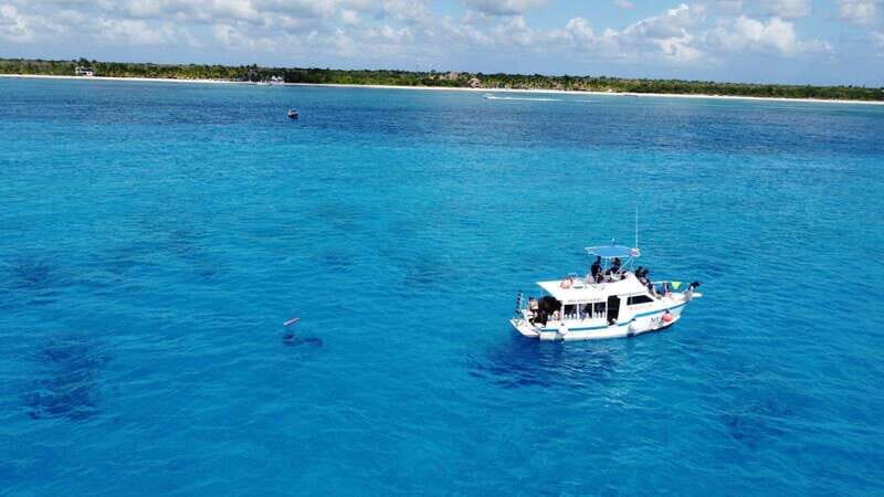 Cozumel: Discover Scuba Diving - How the Tour Works: A Step-by-Step Breakdown