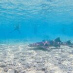 Cozumel Drive, Splash & Beach - Summary of Pros and Cons