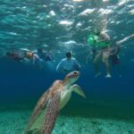 Cozumel, El Cielo: 4-Hour Shared Snorkeling Tour - Exploring the Tour: What You Can Expect